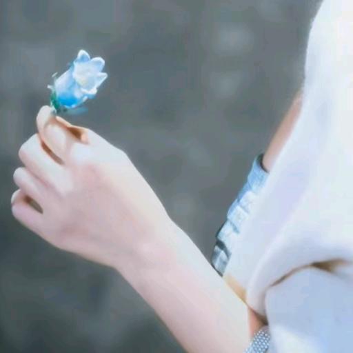 愿你璀璨，熠熠生辉💐