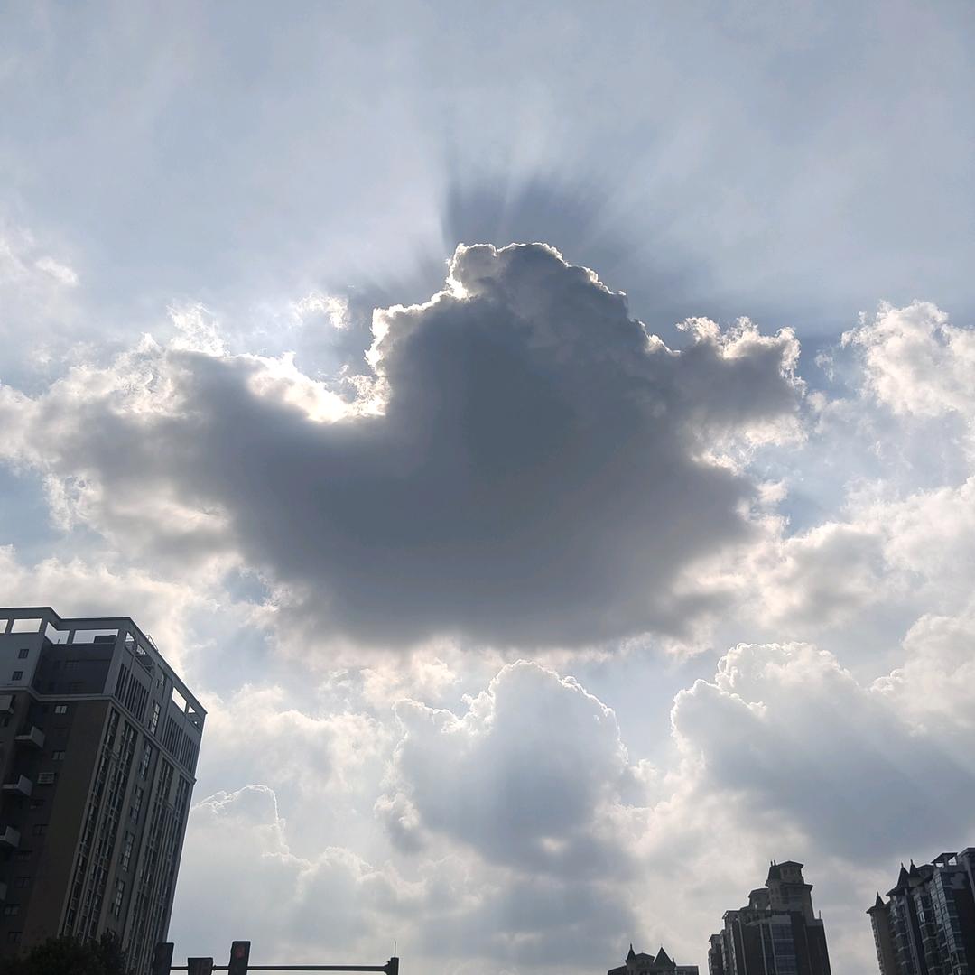 虾先森