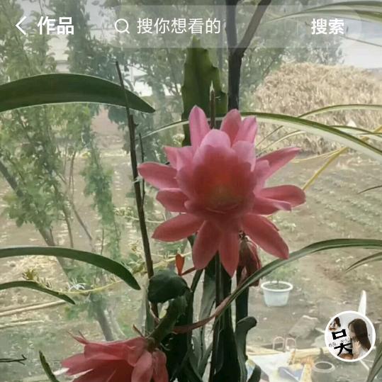 后悔无期☔️