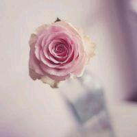 小雪(￣o￣) . z Z