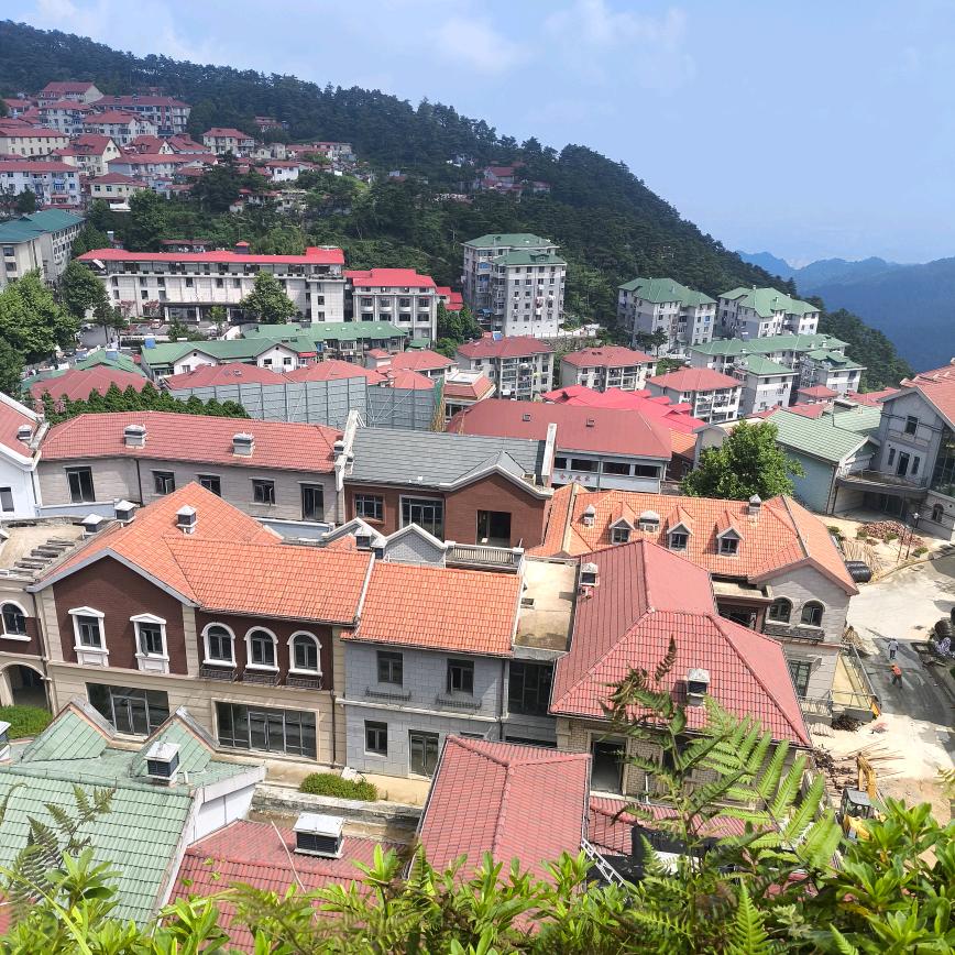 王后余生,细水长刘