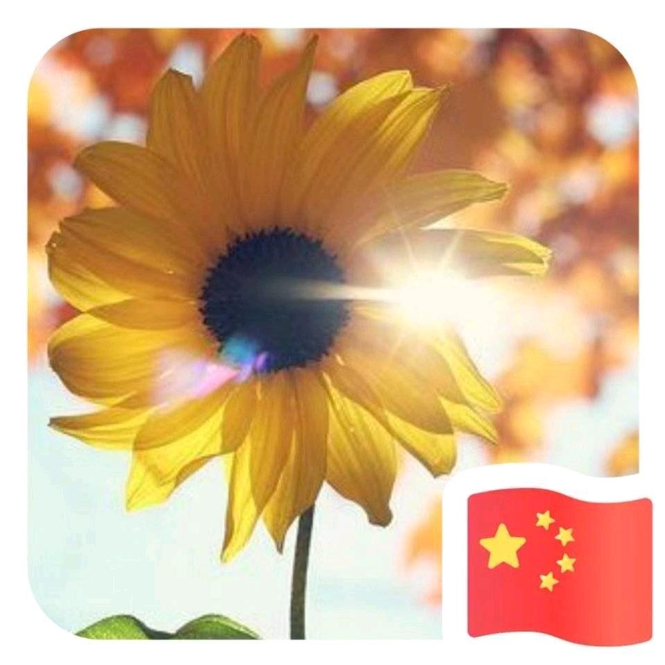 琪小胖