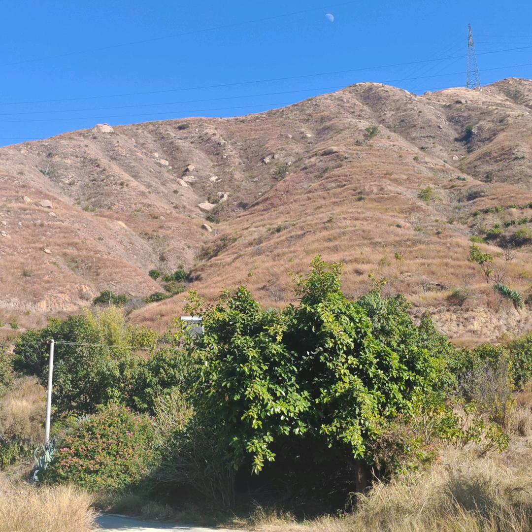 田园山水深山处