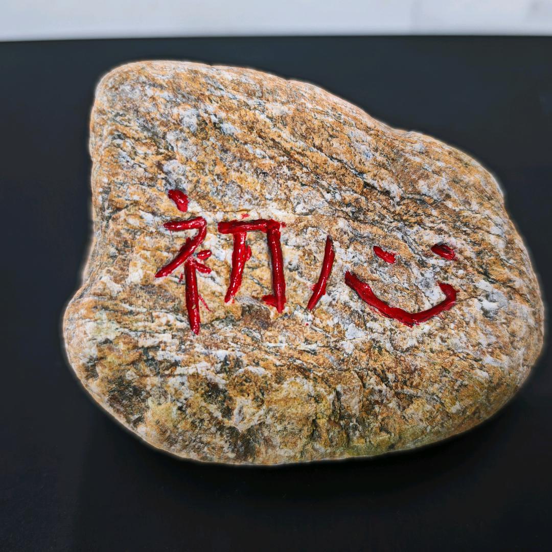 @🇨🇳爱健身小趴菜
