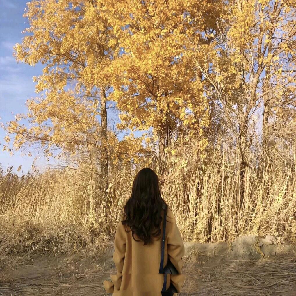 🌸艷☞嘉☜🌾