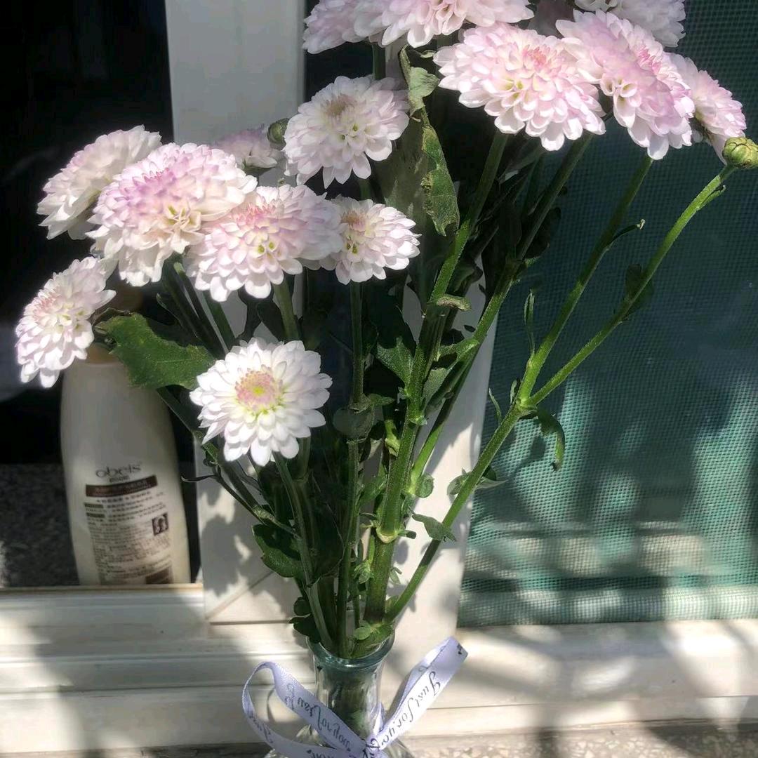@梅💋