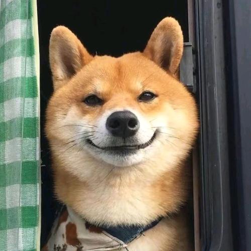 玛卡巴卡开半挂