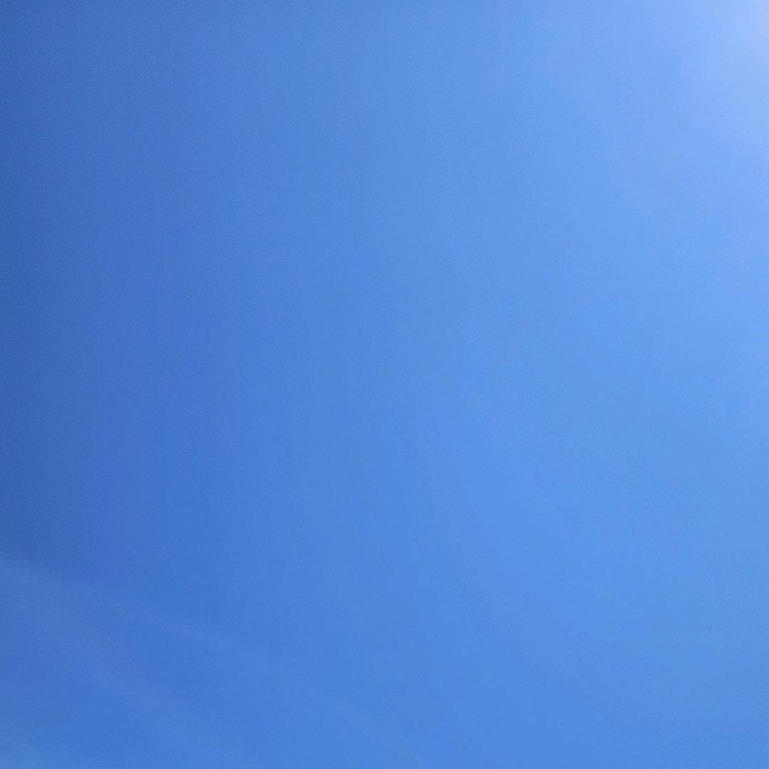 发财兄
