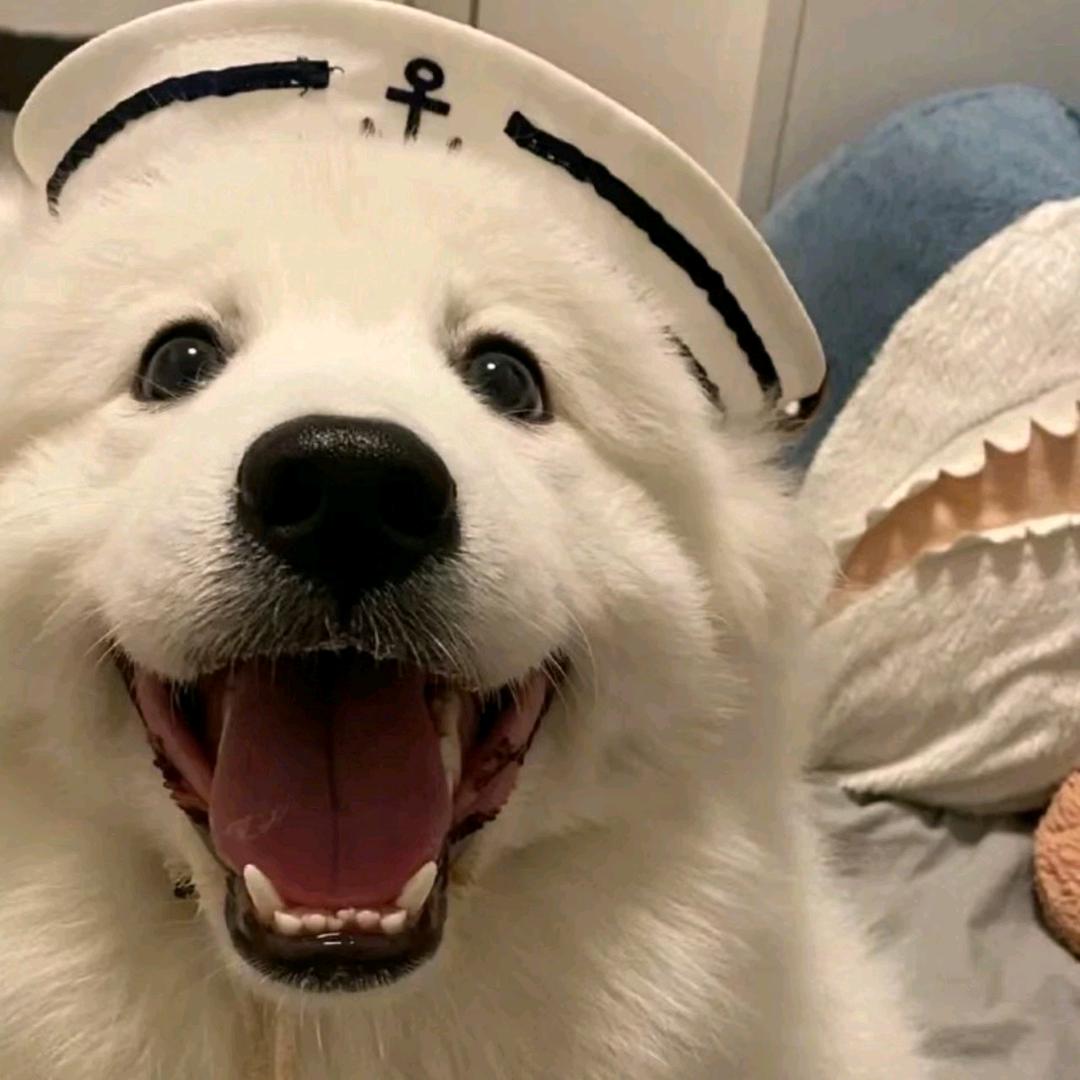 🦇恶魔在人间