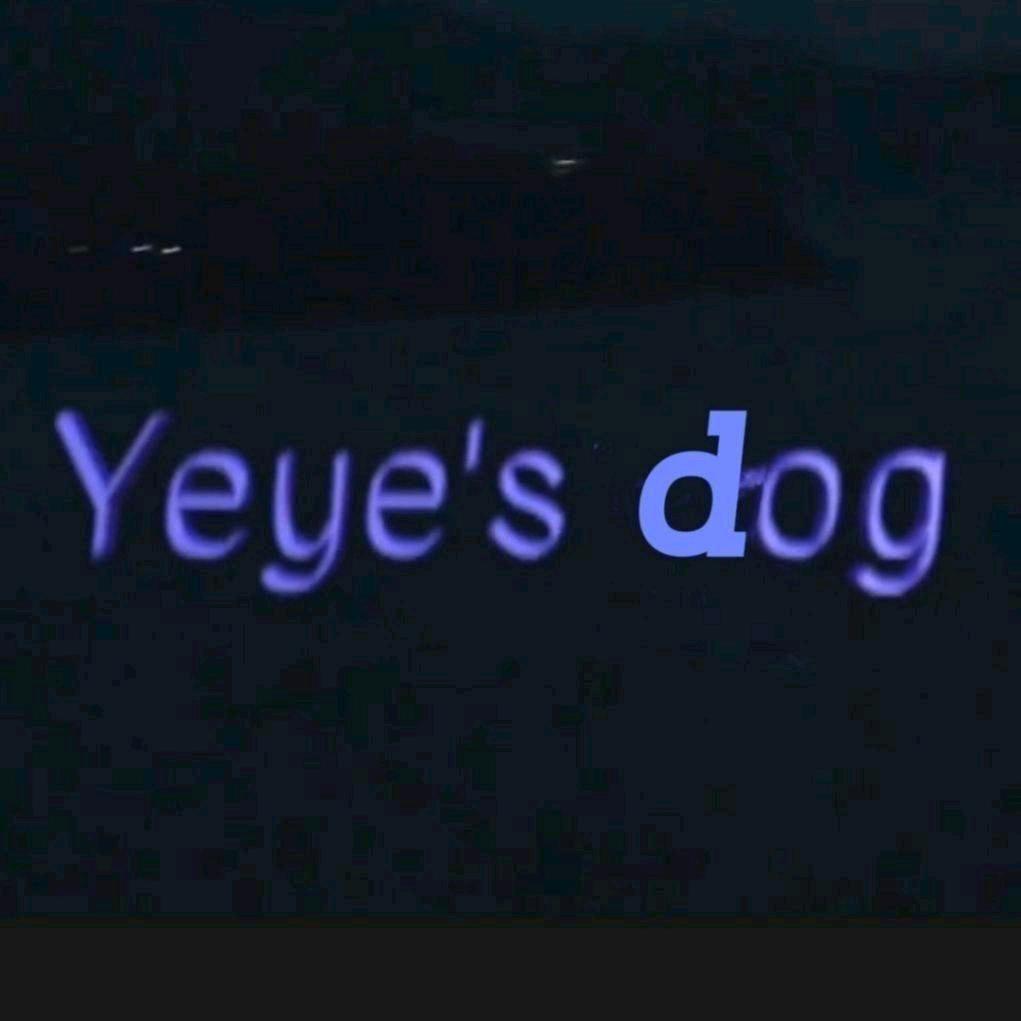 yeble_119音乐节1115南京巡演