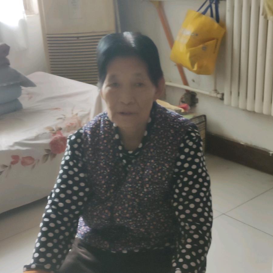 不老松