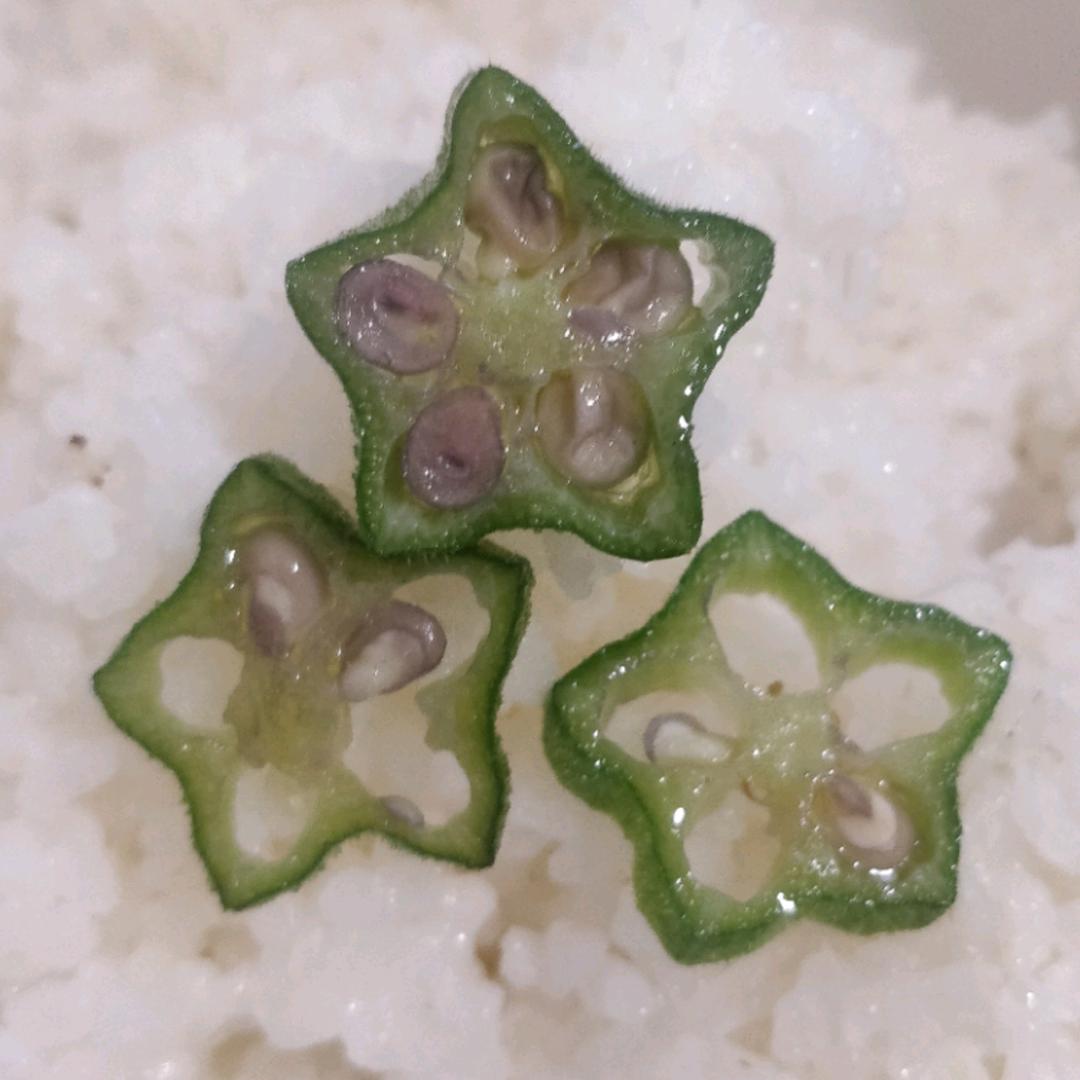 糊涂人