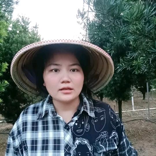 合浦王姐