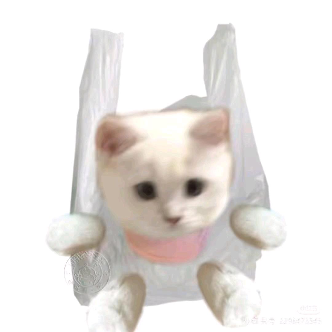 丑小鱼🐟🐟