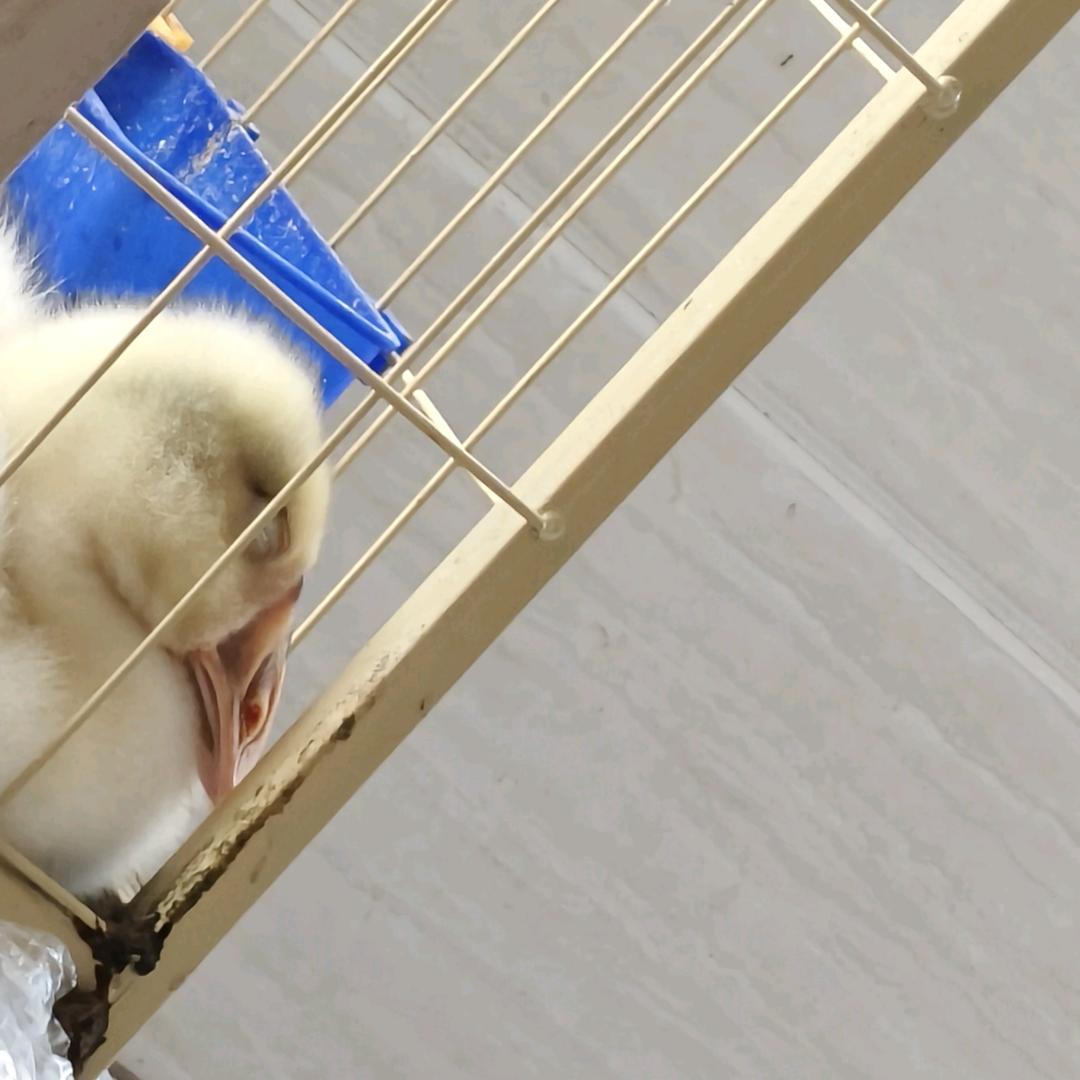 。。。。。。。。。。。。。。。。。。。