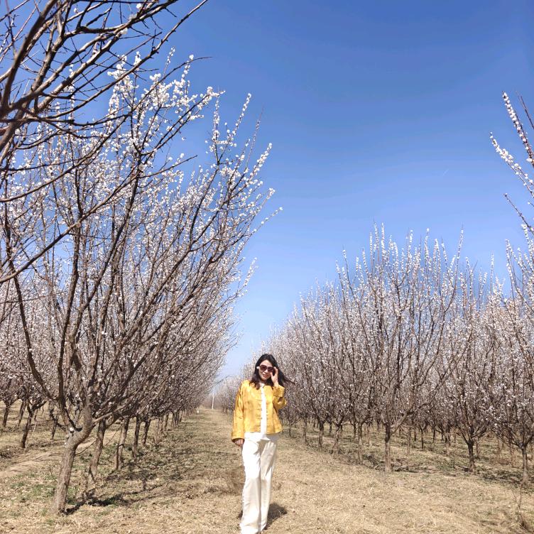 墨弈围棋玲玲老师