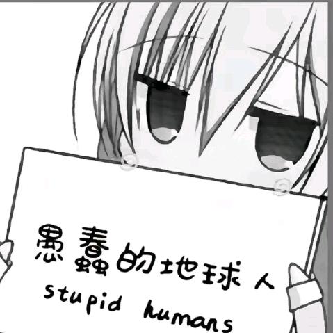 猫薄荷