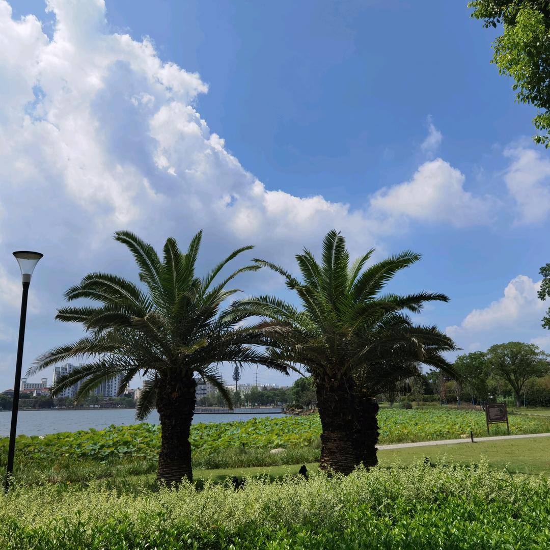 用户 এ杨帆⛵️启航