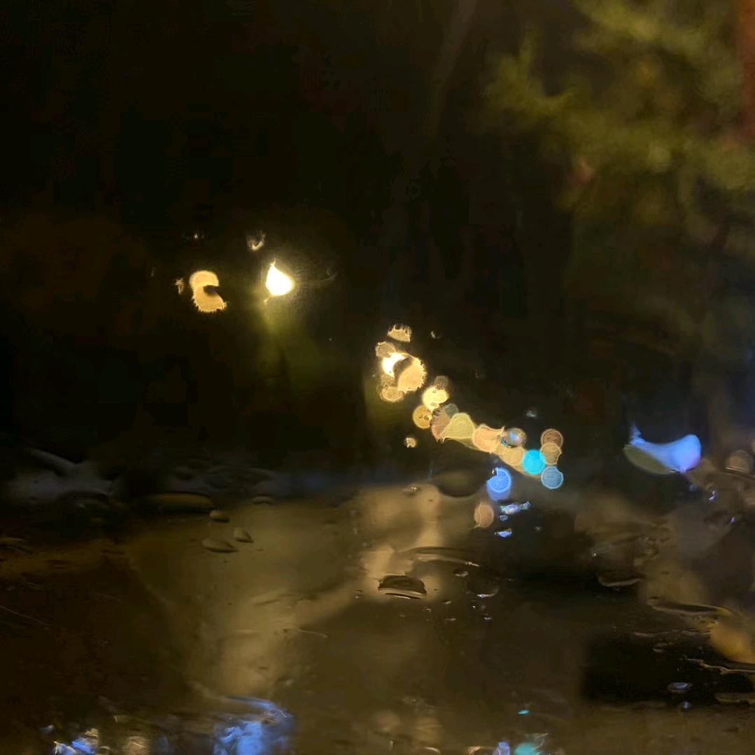 木同学