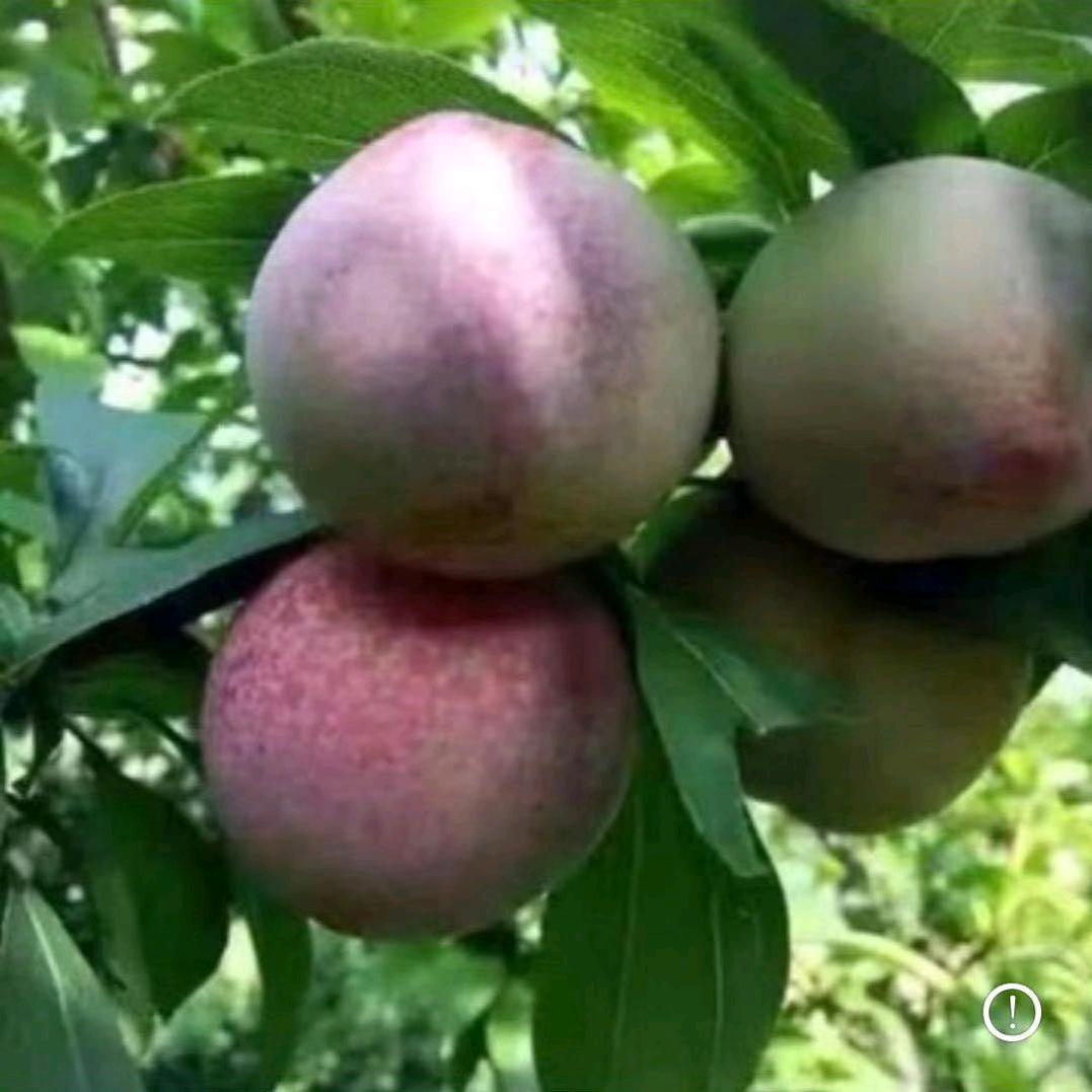 大吉大利？？？？