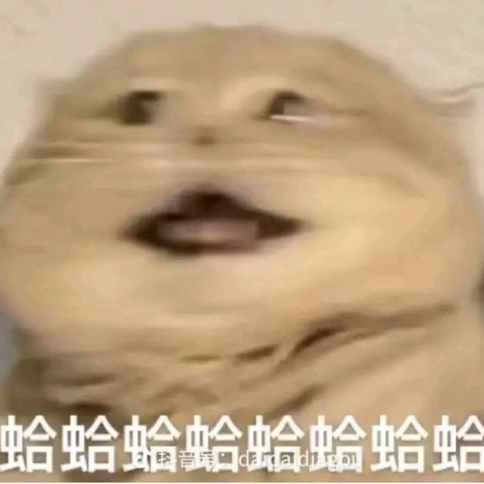 狗修金Şãma