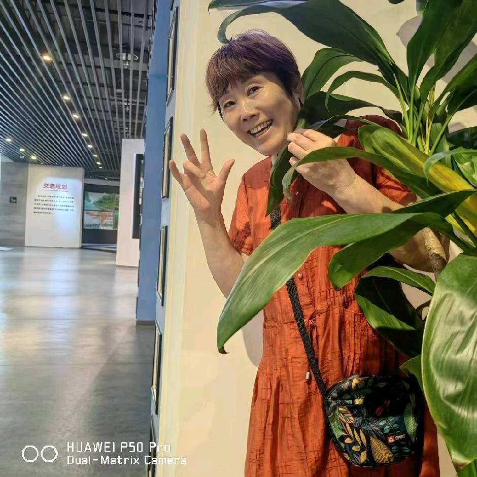 萍姐的橱窗百货店