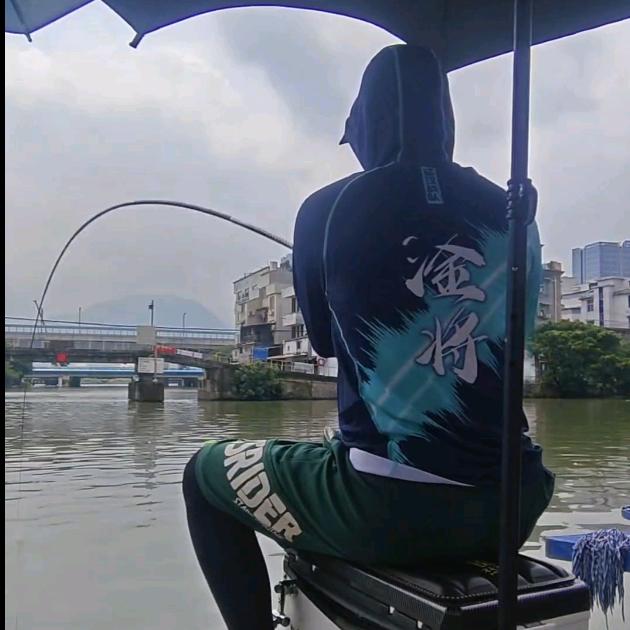 秋公子   鲢鳙