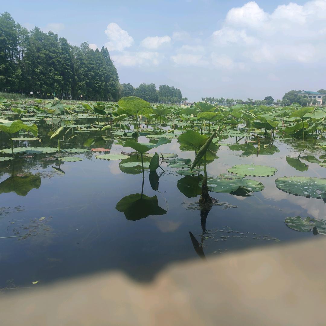 陈荣金