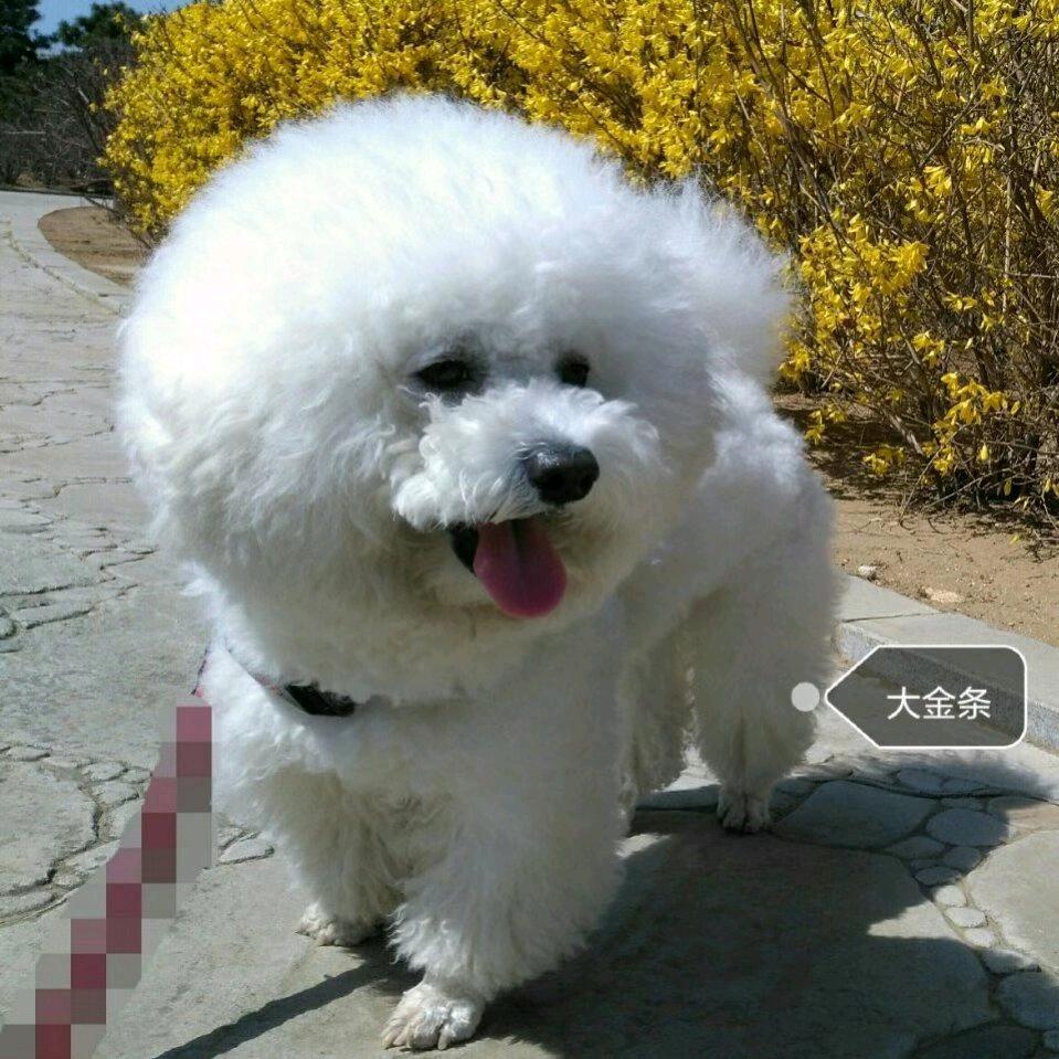 青林美地主婆