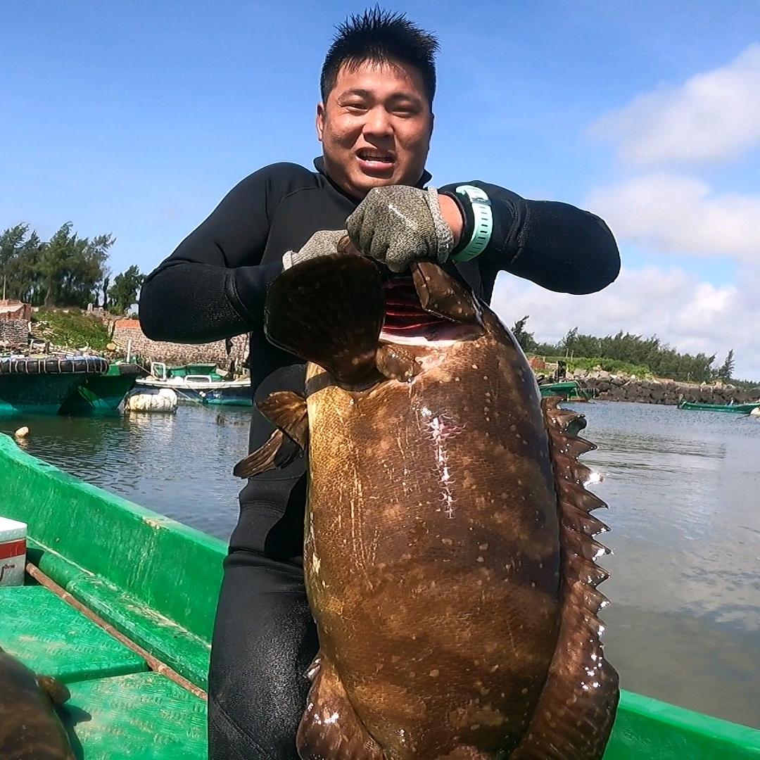 探海小鸟