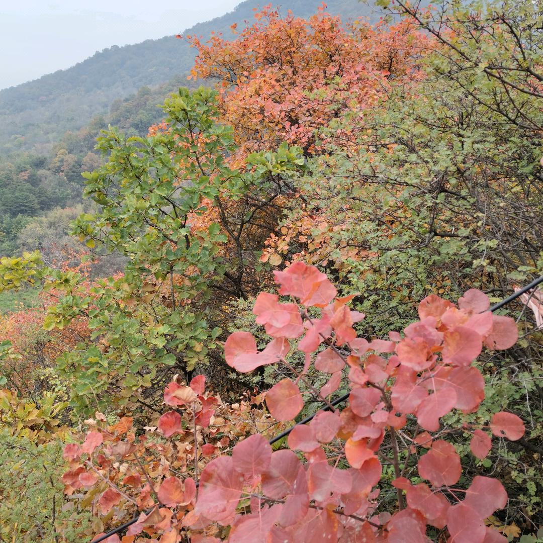 心❤️静自然凉