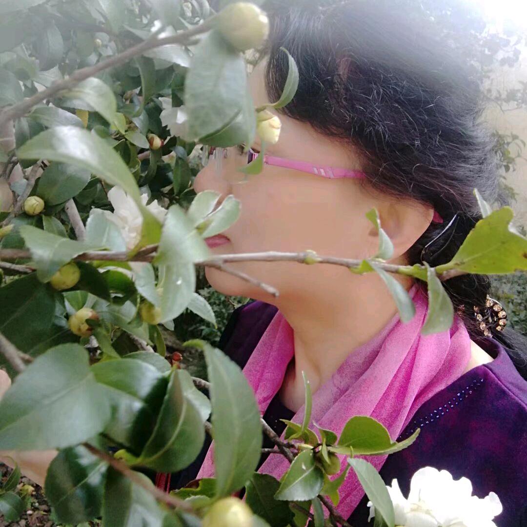 清心伴读