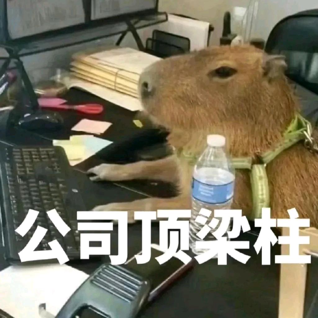 想你兰都兰不住