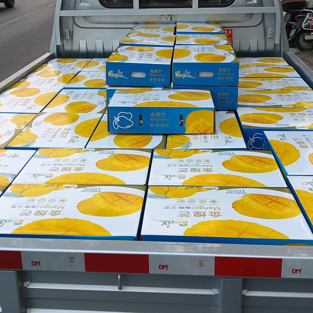 AI波波【海南果批发】