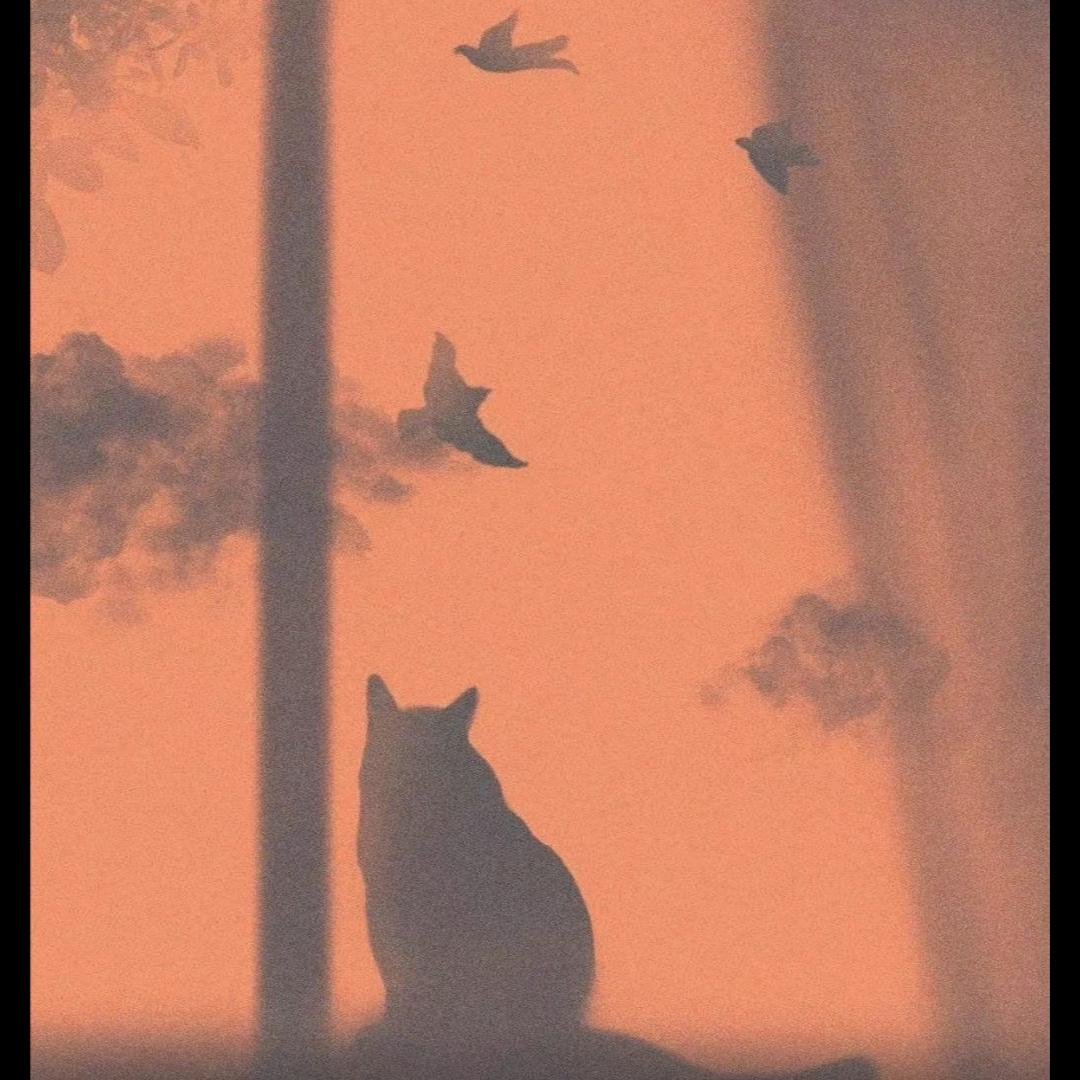 下次