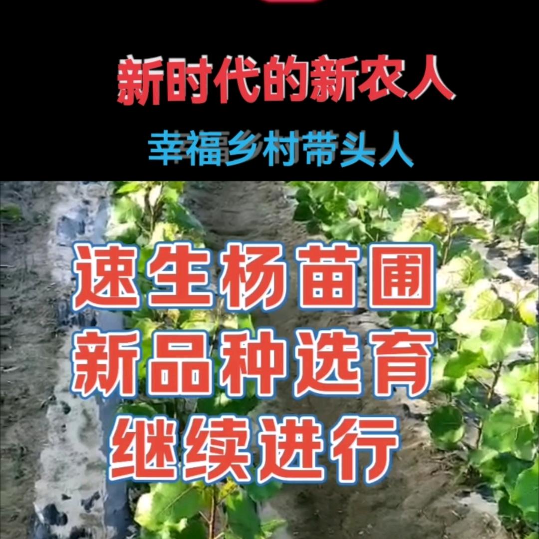 新时代的新农人