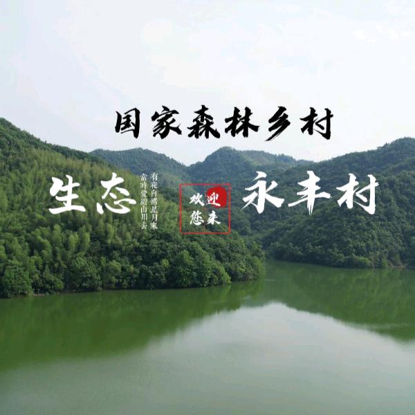 永丰村但支书