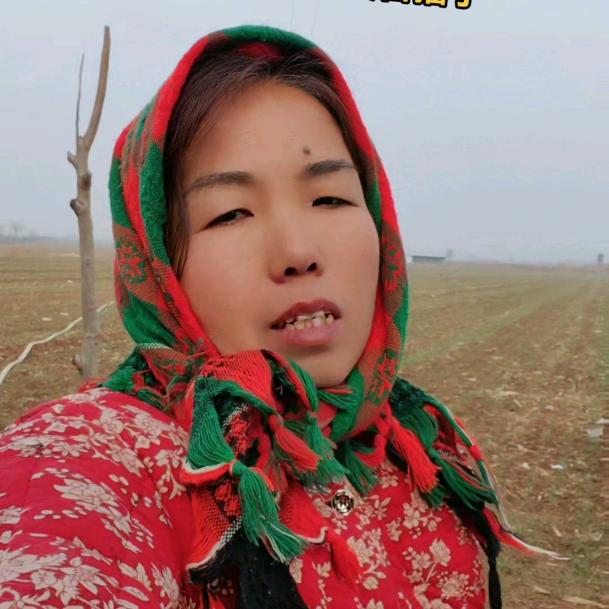 老嫂子（老伍姐）