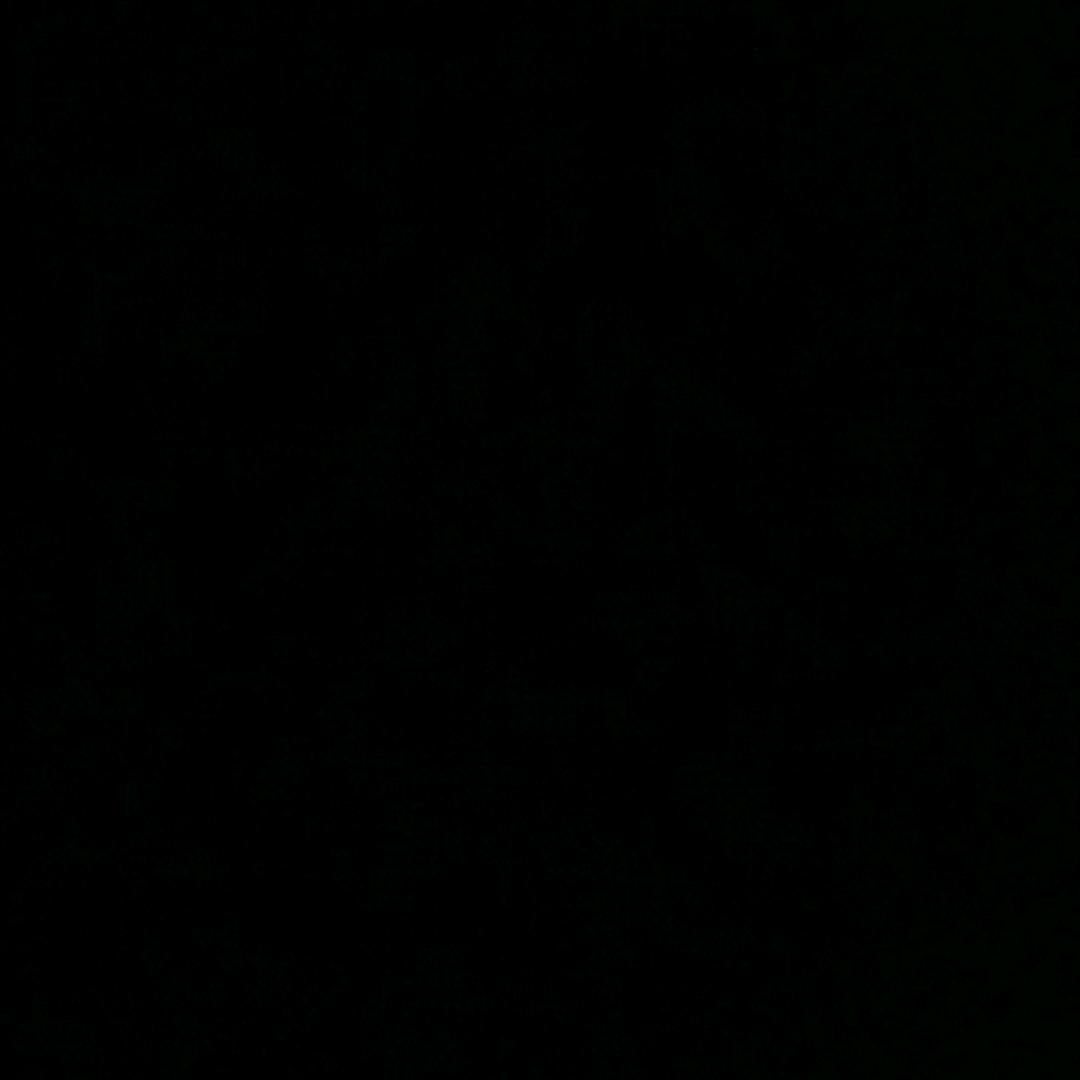 小小一只
