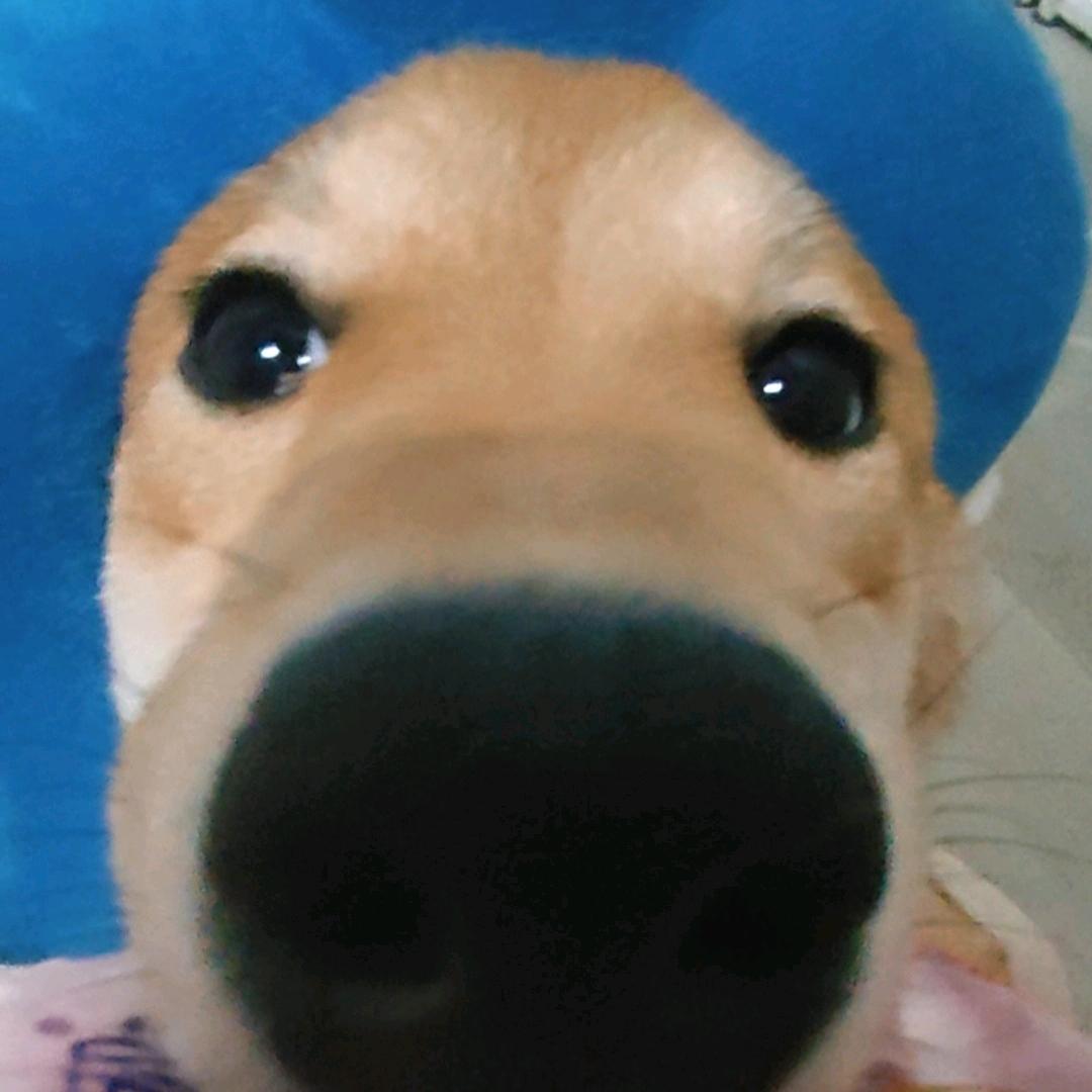 零误差
