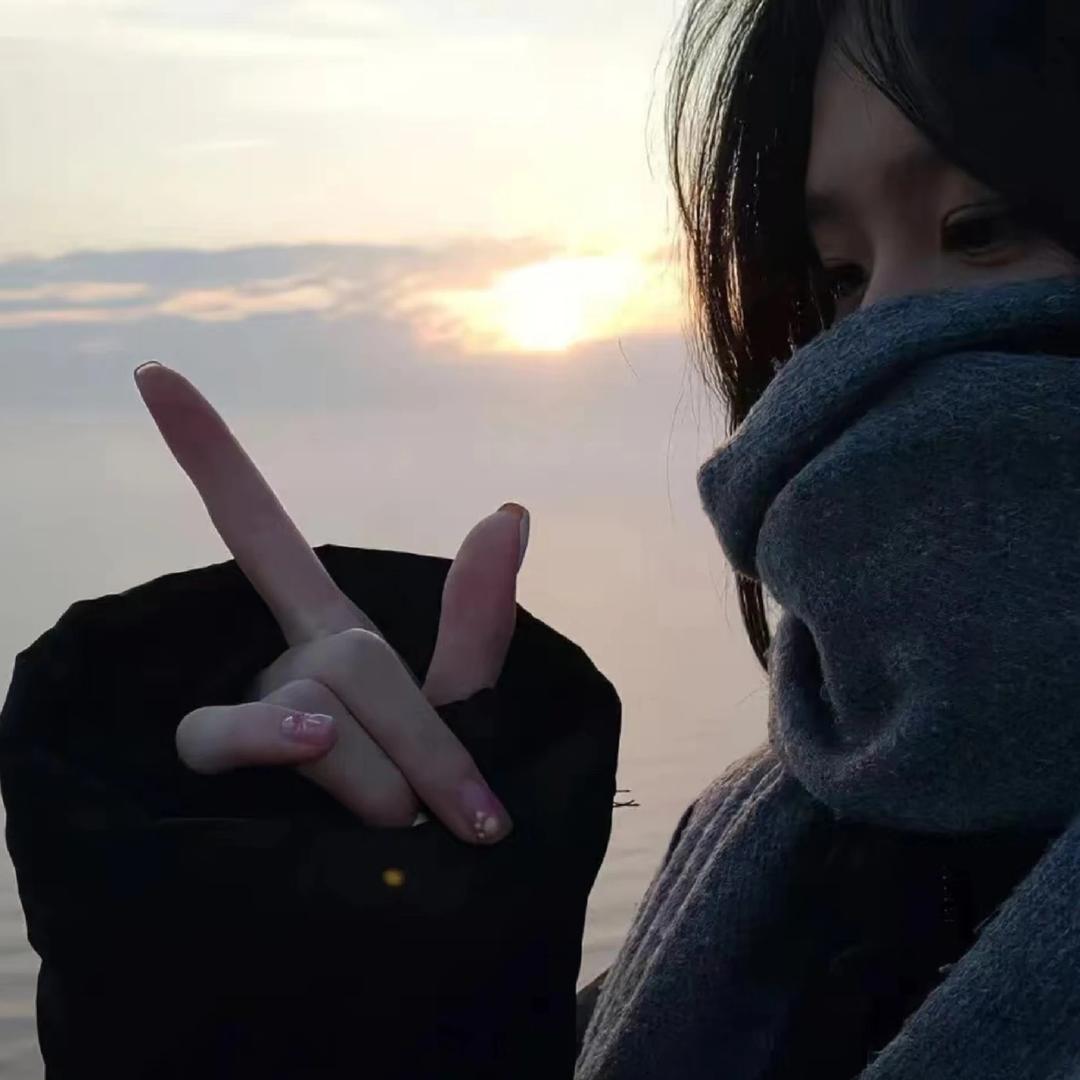 纯困的燕