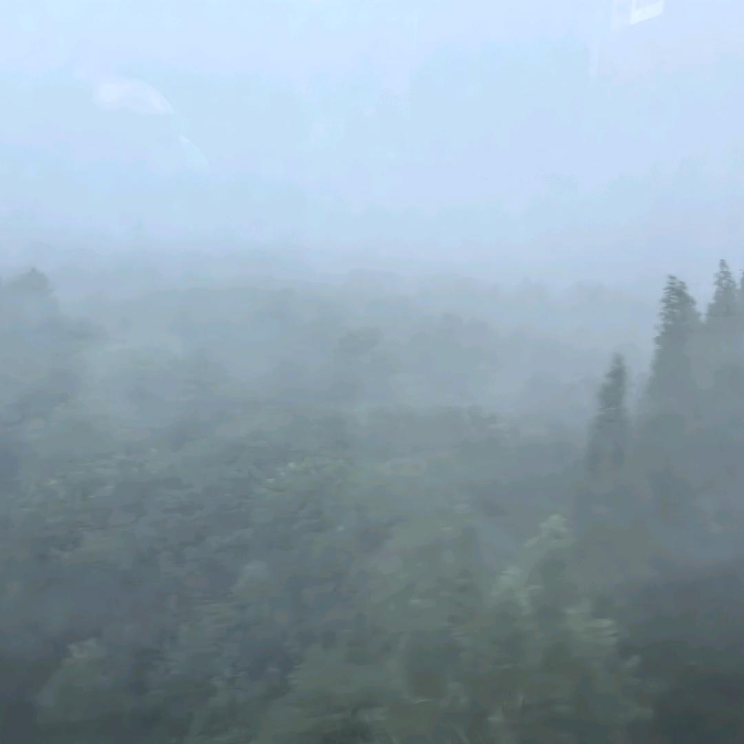 生龙活虎的葛伟松