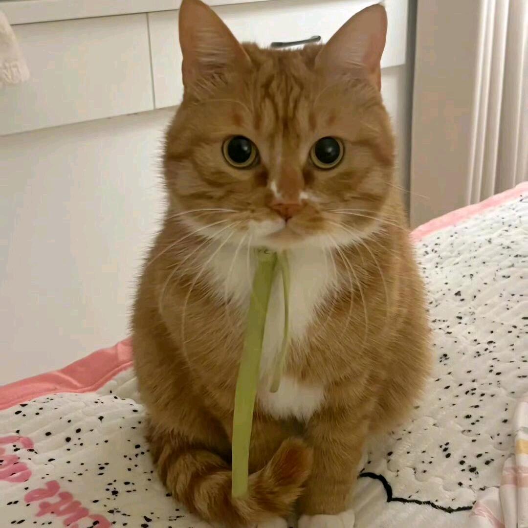 Peter