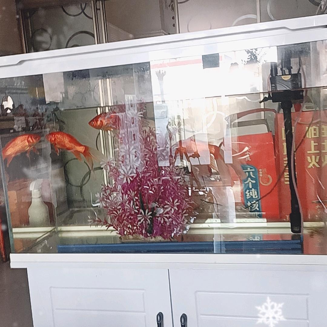 那年