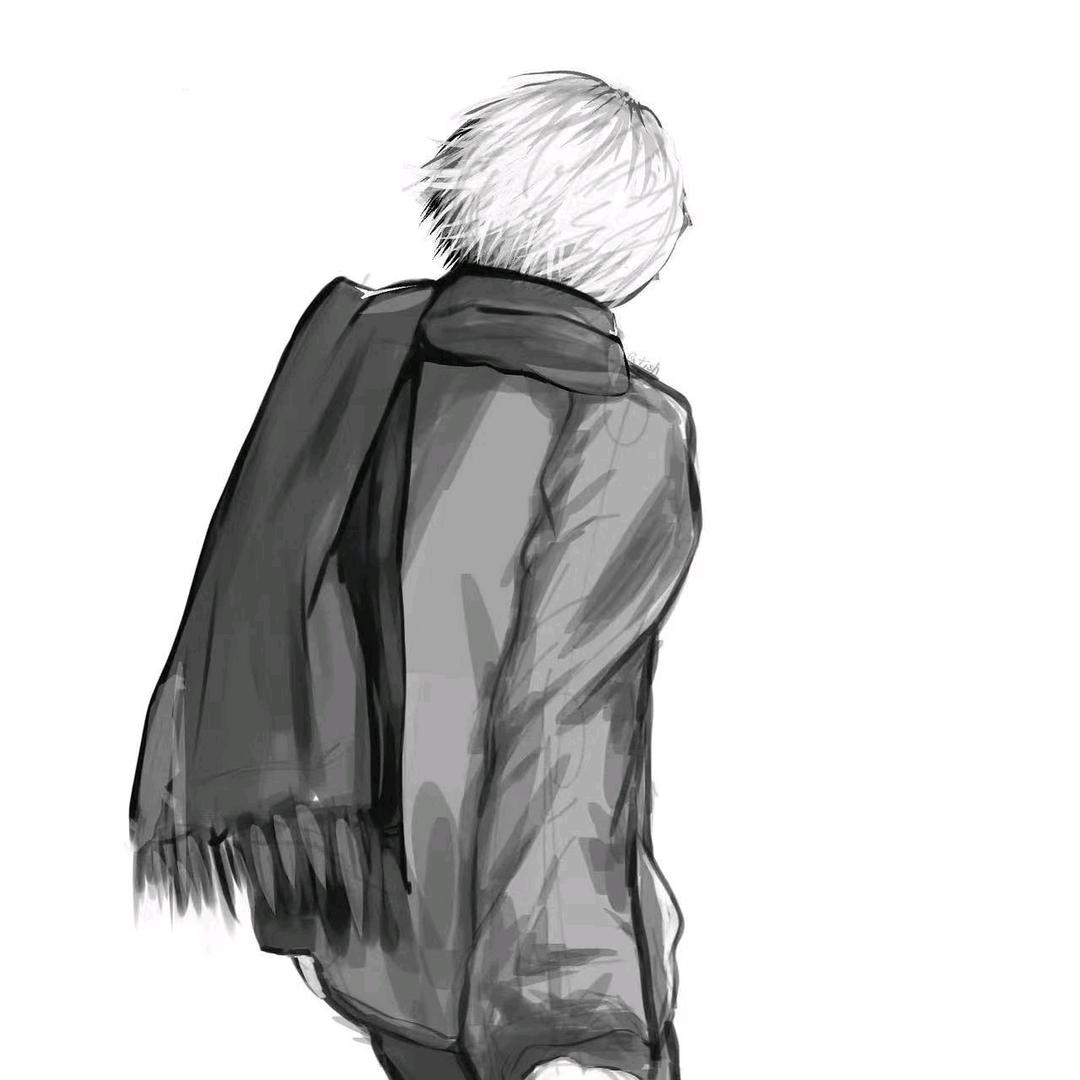 王者荣耀小羊（国一老虎）