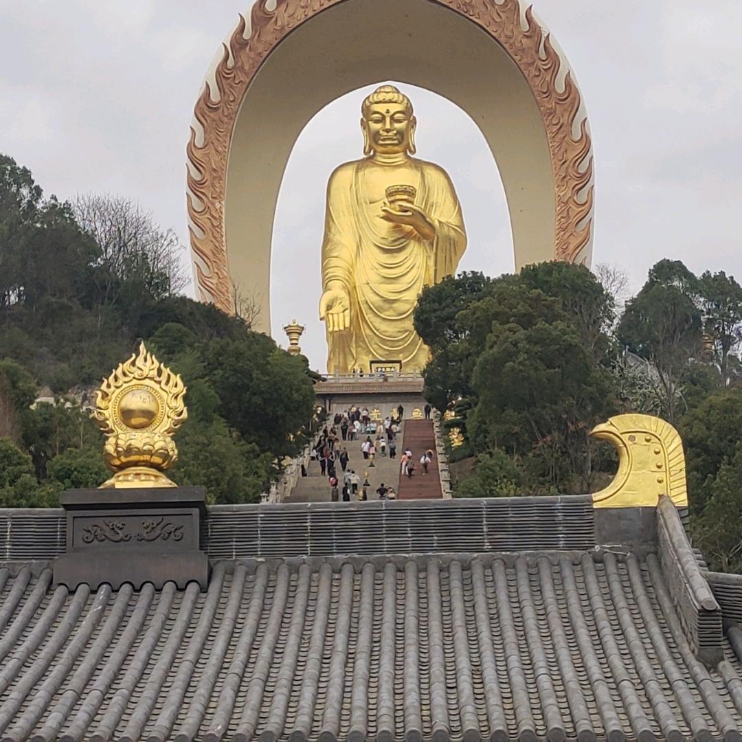 @ℒℴѵℯ🌻 花语🦋 ღ᭄ꦿ࿐