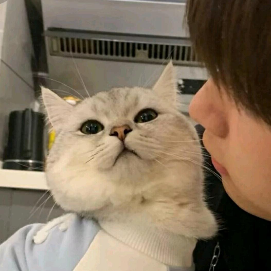 婳ˇ