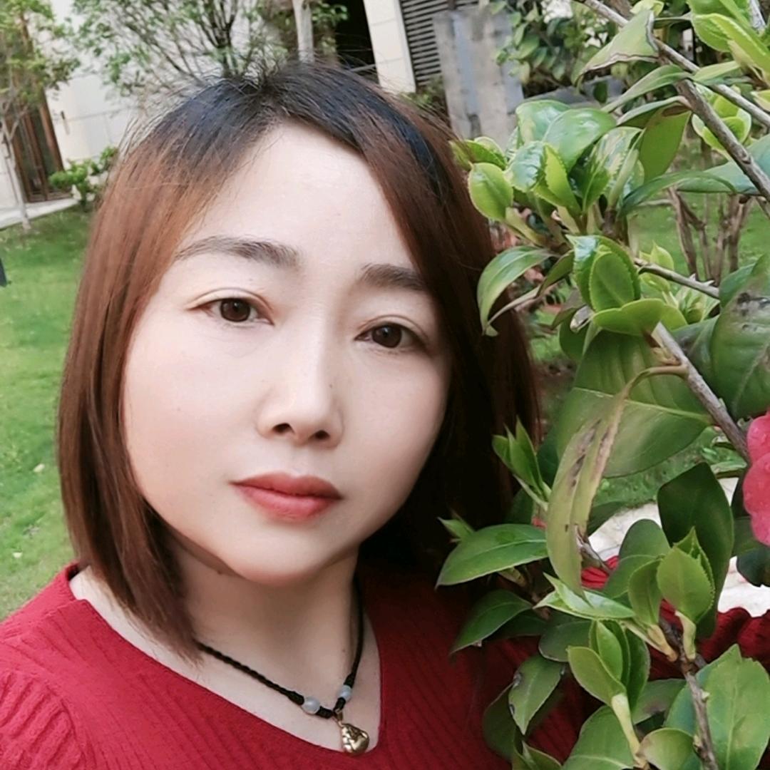 九月的菊花