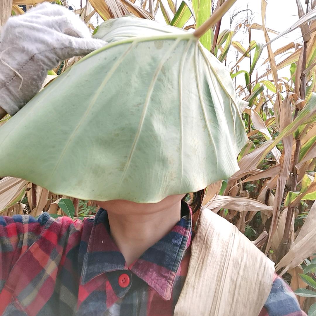 壮乡小妹