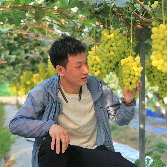 农科园艺(晓锋)